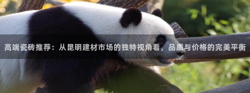 杏鑫平台登录地址在哪