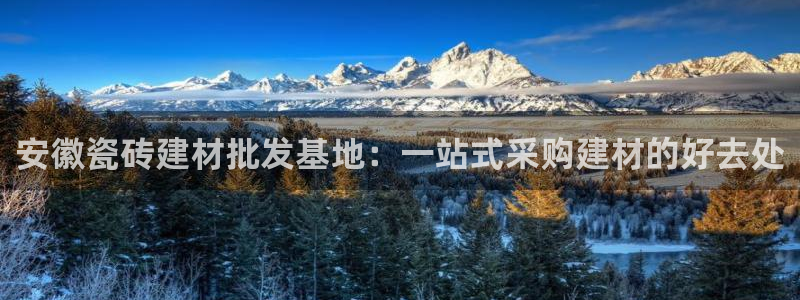 杏鑫注册登录地址