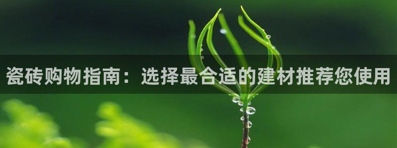 杏鑫平台下载安装