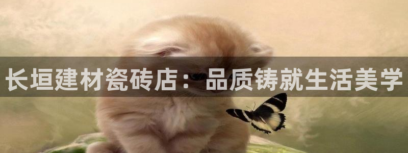 杏鑫平台正规吗是真的吗