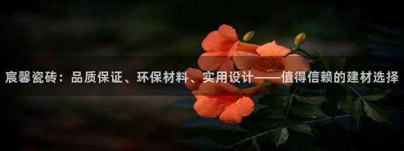 杏鑫平台招商电话是多少