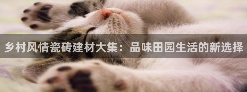 杏鑫注册平台官方网站
