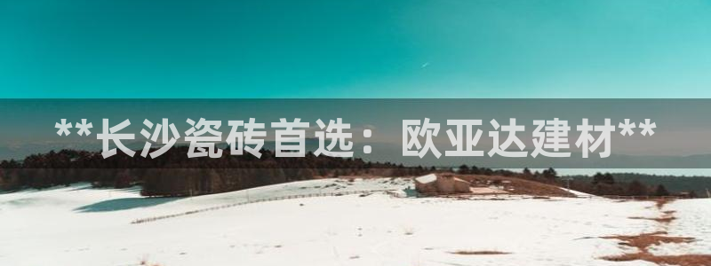 杏鑫官方app代理