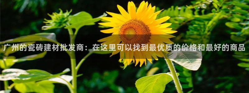 杏鑫平台测速